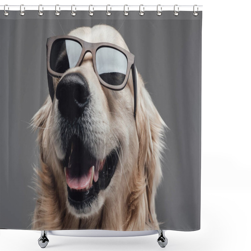 Personality  Headshot Of A Pretty Dog Wearing Sunglasses In Gray Background Shower Curtains