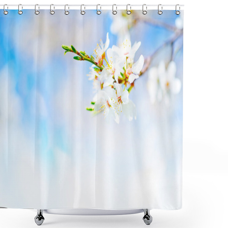 Personality  Beautiful Spring Tree  Shower Curtains