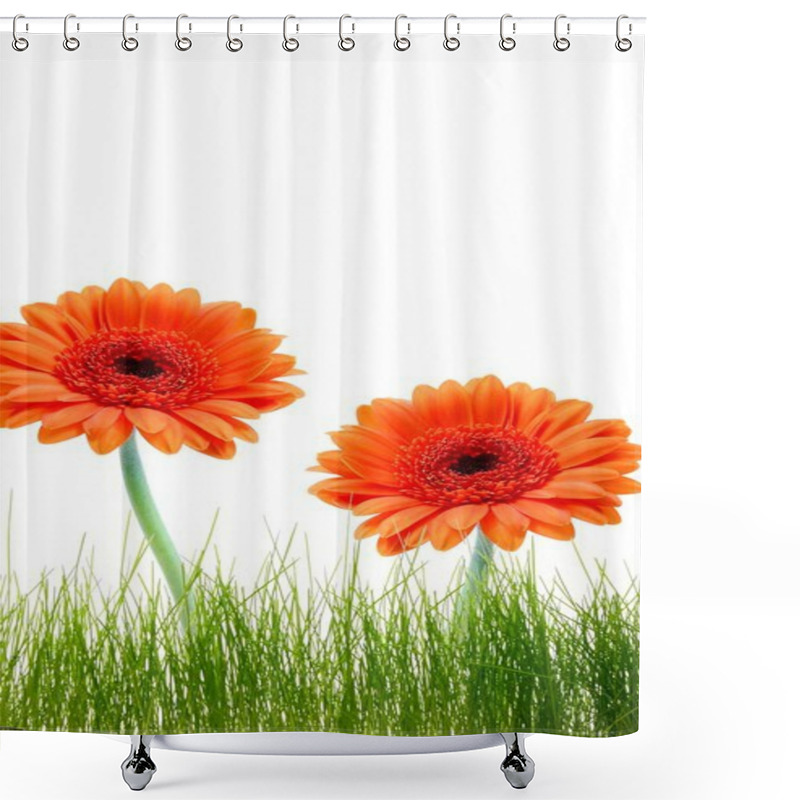 Personality  Isolated Flower Background Shower Curtains