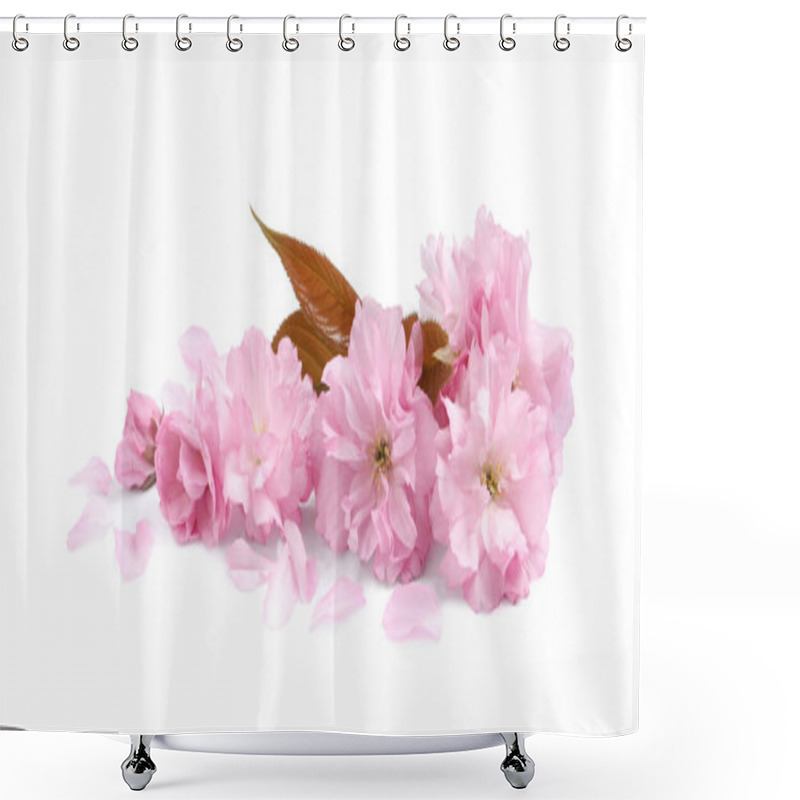 Personality  Beautiful Pink Sakura Blossoms, Leaves And Petals Isolated On White Shower Curtains