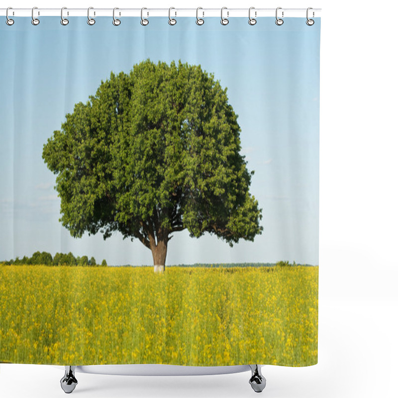 Personality  Single Tree In Canola Field Shower Curtains