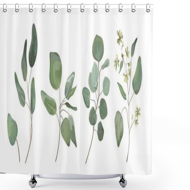 Personality  Eucalyptus Seeded Silver Dollar Tree Leaves Designer Art, Foliage, Natural Branches Elements In Watercolor Rustic Style Set Collection. Vector Nature Decorative Various Elegant Illustration For Design Shower Curtains