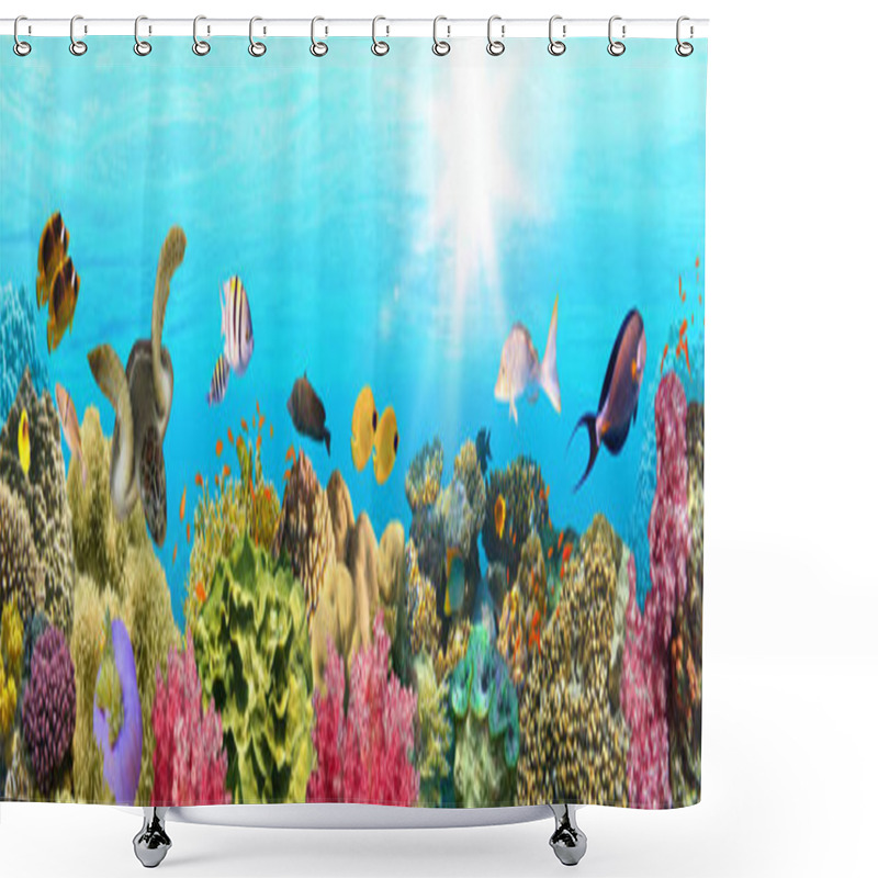 Personality  Underwater Paradise Background - Coral Reef Wildlife Nature Collage With Sea Turtle And Colorful Fish Background Shower Curtains