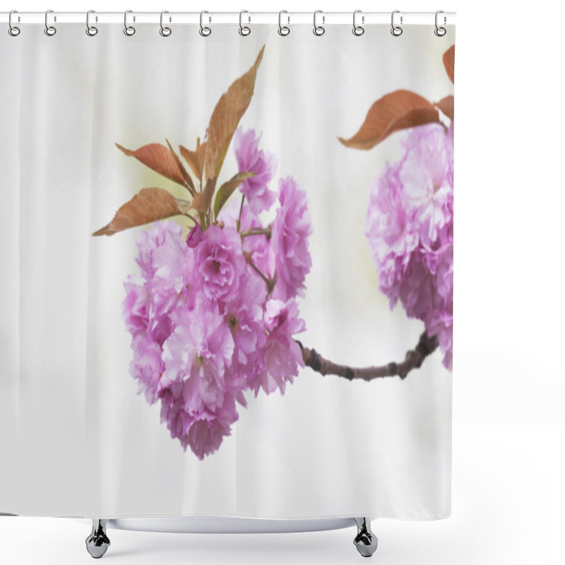 Personality  Pink Cherry Blossoms Shower Curtains