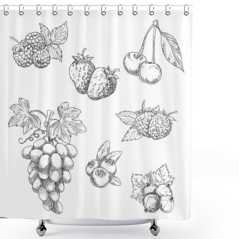 Personality  Flavorful Fresh Garden Fruits With Leaves Sketches Shower Curtains