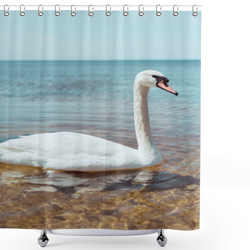 Personality  White Swan Swimming On Blue River At Sunny Day Shower Curtains