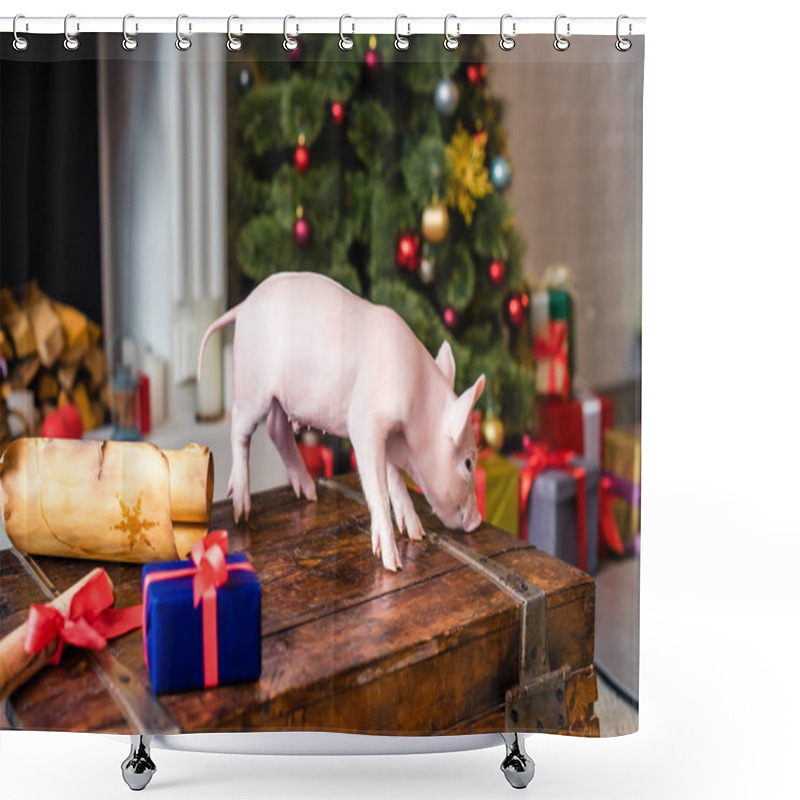 Personality  Cute Little Pig On Wooden Chest At Christmas Time Shower Curtains