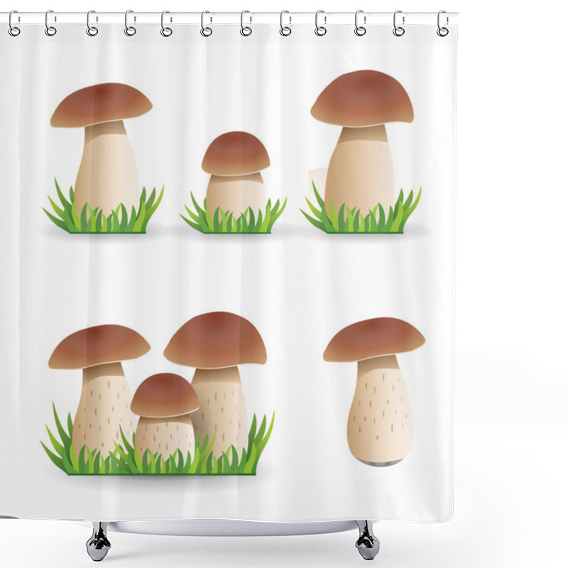 Personality  Set Illustration  White Mushroom. Vegetable Healthy Food. Mushro Shower Curtains