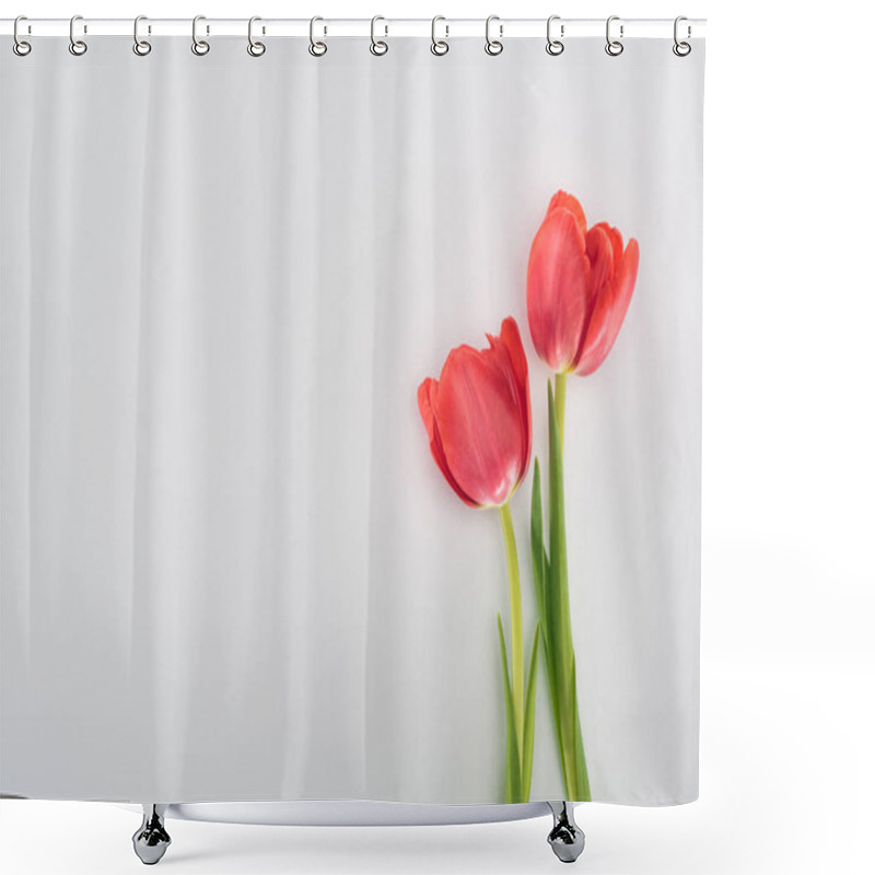 Personality  Top View Of Red Tulip Flowers Isolated On Grey Shower Curtains