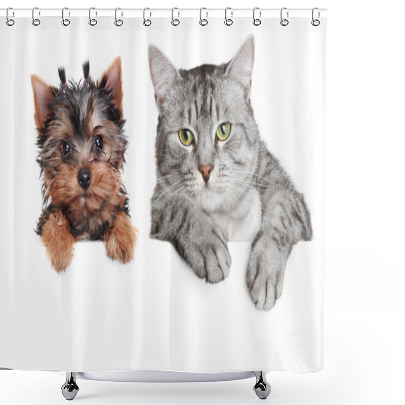 Personality  Portrait Of A Dog And Cat Shower Curtains