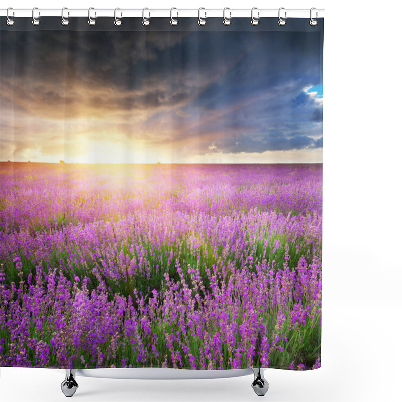 Personality  Meadow Of Lavender.  Shower Curtains