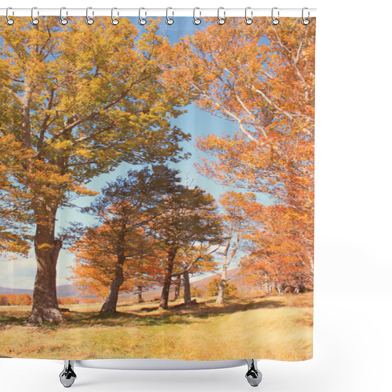 Personality  Beautiful Autumn Forest Shower Curtains