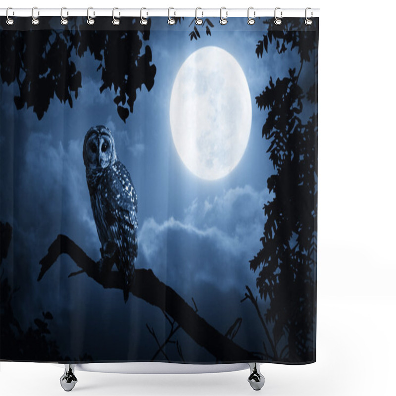 Personality  Owl Watches Intently Illuminated By Full Moon On Halloween Night Shower Curtains