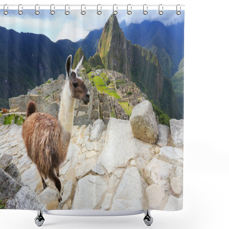 Personality  Llama Standing At Machu Picchu Overlook In Peru Shower Curtains