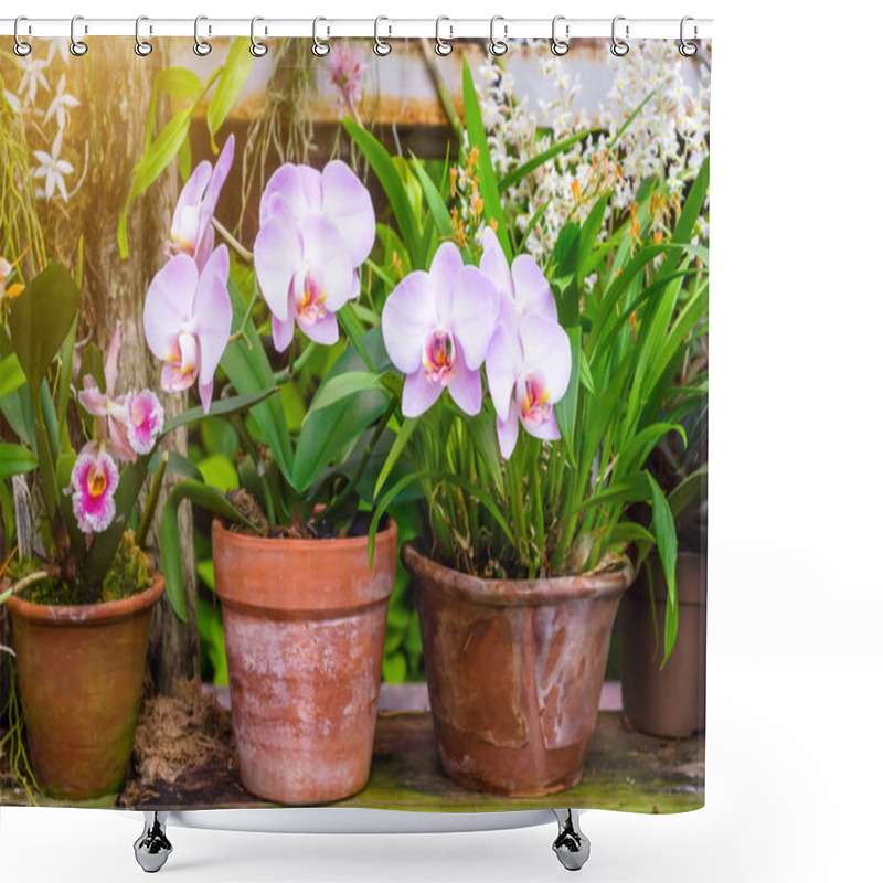 Personality  Orchids Flower In Clay Pots In A Tropical Wet Forest. Shower Curtains