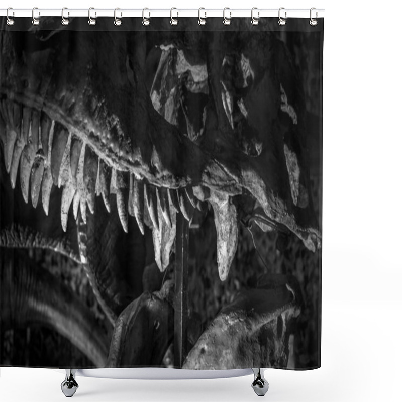 Personality  Tyrannosaurus Rex Dinosaur With Tusks, Long, Sharp Teeth Shower Curtains