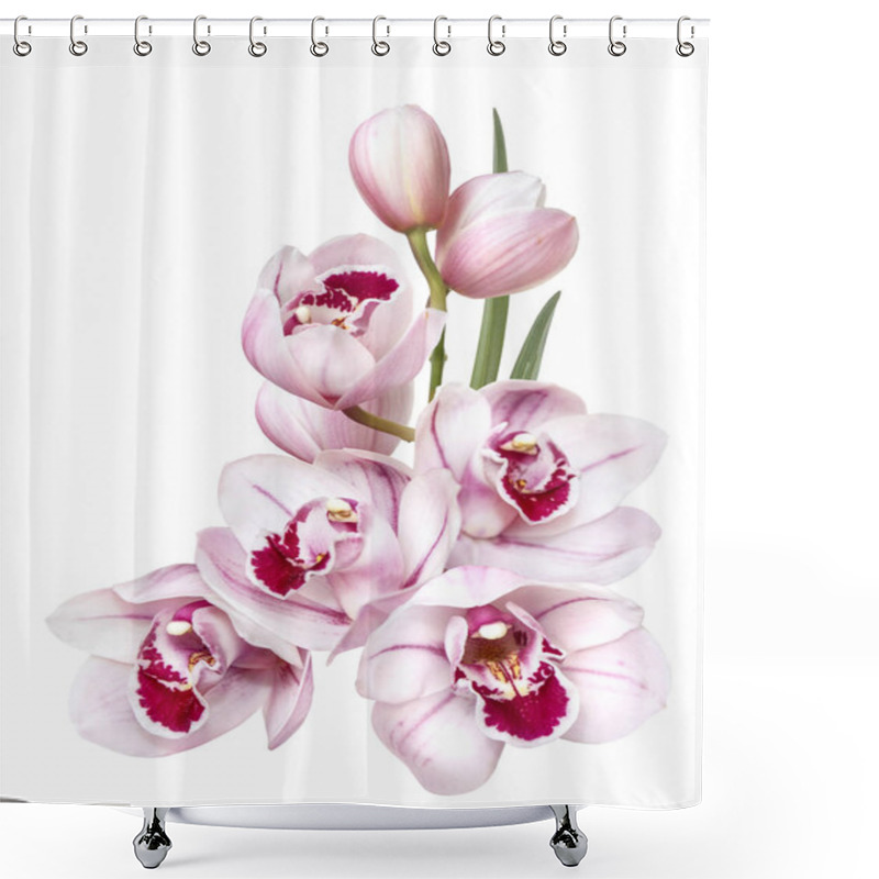 Personality  Pale Pink Orchid Flowers Isolated On White Background Shower Curtains