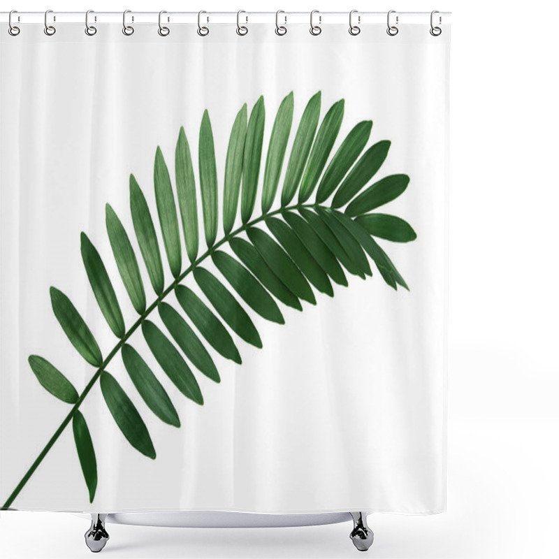 Personality  Cardboard Palm Or Zamia Furfuracea Or Mexican Cycad Leaf, Tropical Foliage Isolated On White Background, With Clipping Path   Shower Curtains