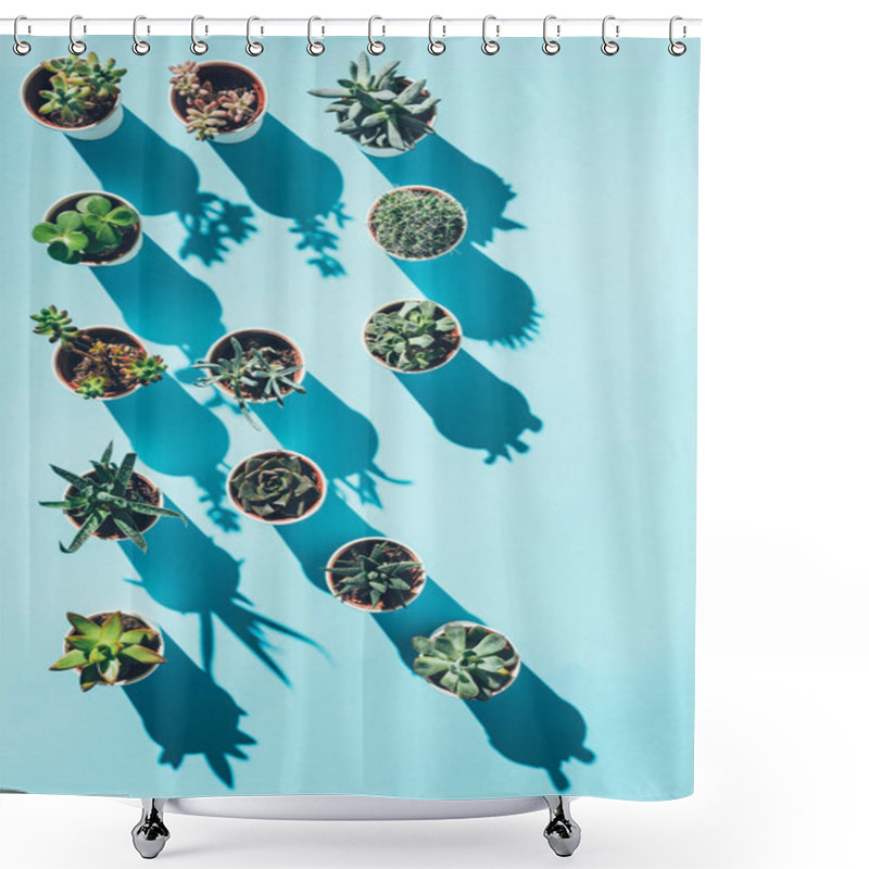 Personality  Top View Of Letter R Made From Green Potted Plants On Blue Shower Curtains