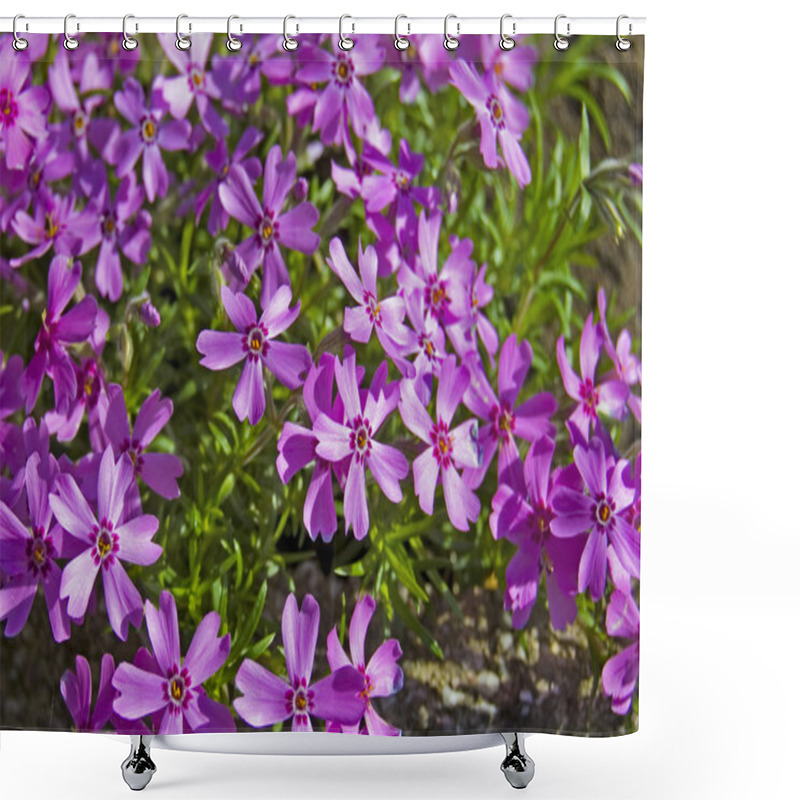 Personality  Verbena Flawers Shower Curtains