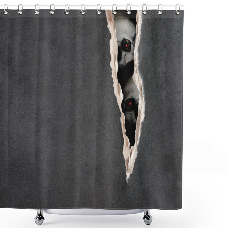 Personality  Human Skulls And Paper Texture Shower Curtains