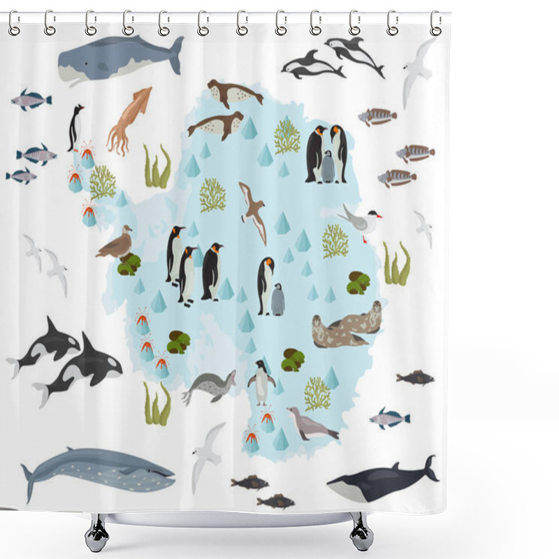 Personality  Antarctic, Antarctica,  Flora And Fauna Map, Flat Elements. Anim Shower Curtains