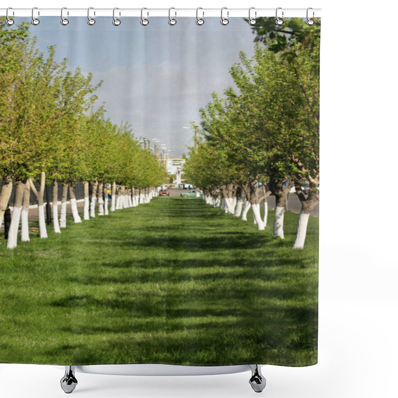 Personality  A Symmetrical Green Alley Of Trees In The Park. High Quality Photo Shower Curtains