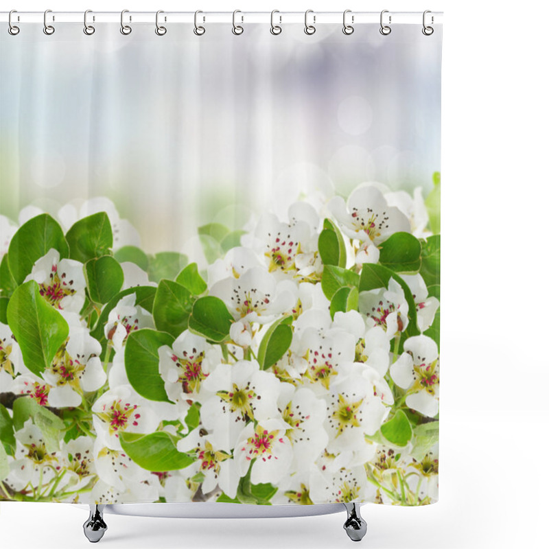 Personality  Blossoming Apple Tree Flowers Shower Curtains