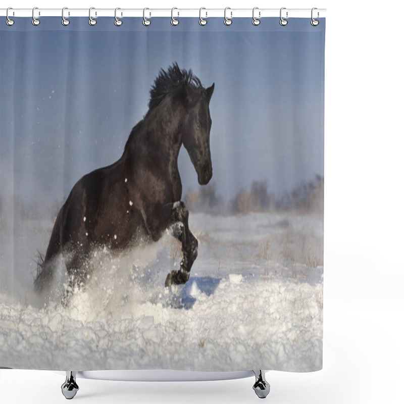 Personality  Black Horse In Snow Shower Curtains