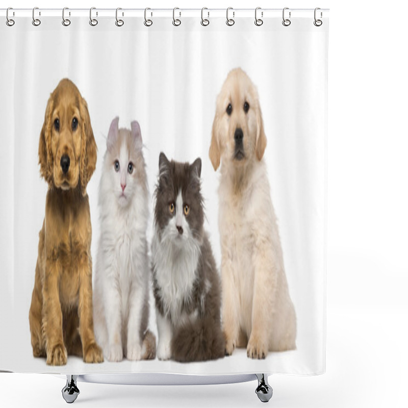 Personality  Group Of Pets: Kitten And Puppy On A Raw Shower Curtains