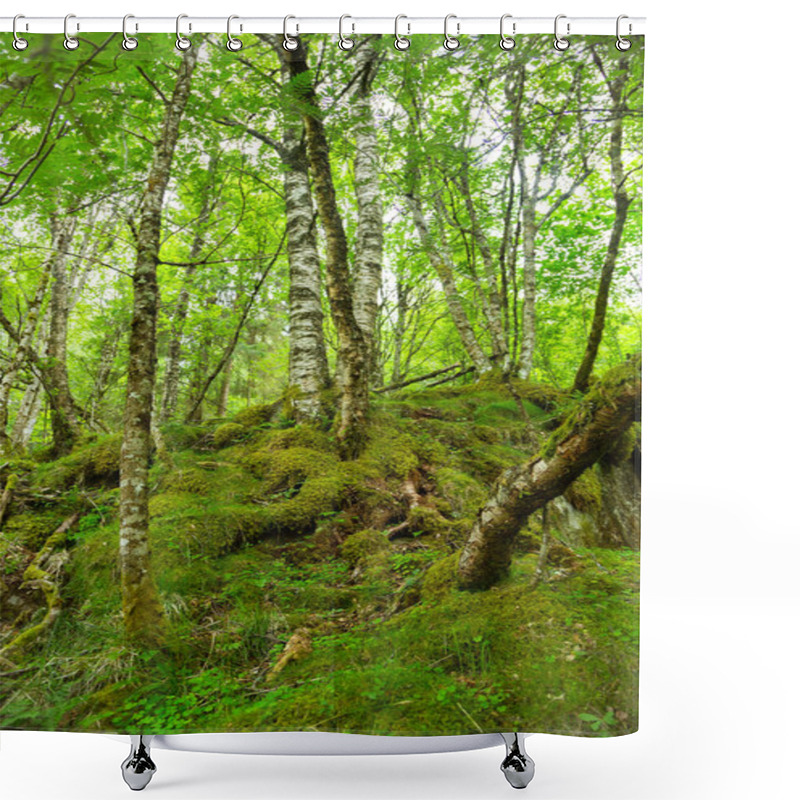 Personality  Thick Wild Forest In Norway In The Summer. Shower Curtains