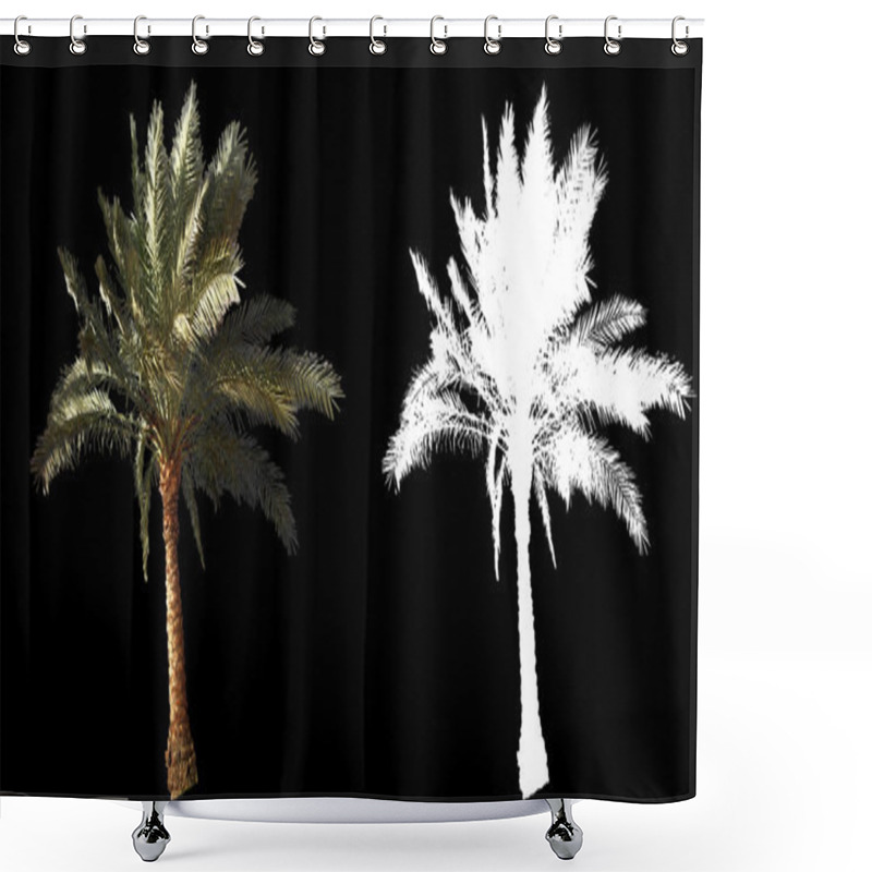 Personality  Blowing On The Wind Beautiful Green Full Size Real Tropical Palm Trees Shower Curtains