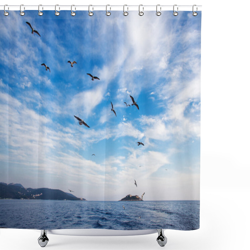 Personality  Seagull Up The Beautiful Bay Shower Curtains