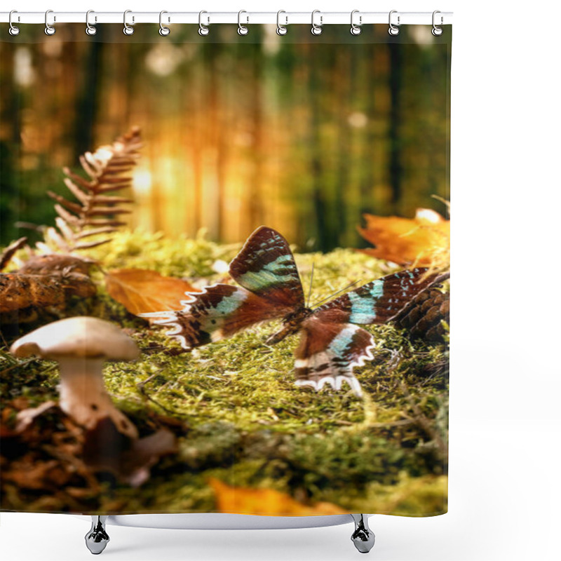 Personality  Fairy Tale Ambiance Magical Autumn Forest Background. Big Beautiful Giant Tropical Butterfly Flying Over Autumn Leaves And Moss, Wild Mushrooms Around, Forest Sunset Shower Curtains