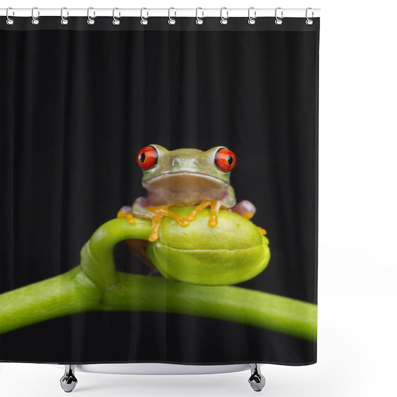 Personality  Baby Frog On Orchid Shower Curtains