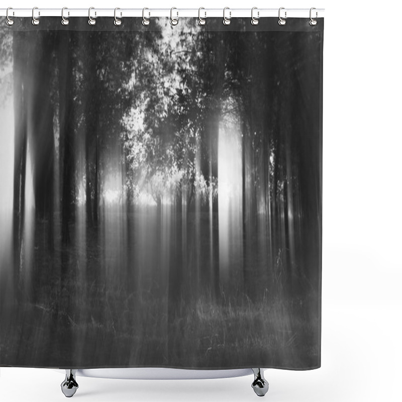 Personality  Abstract And Mysterious Background Of Blurred Forest Shower Curtains