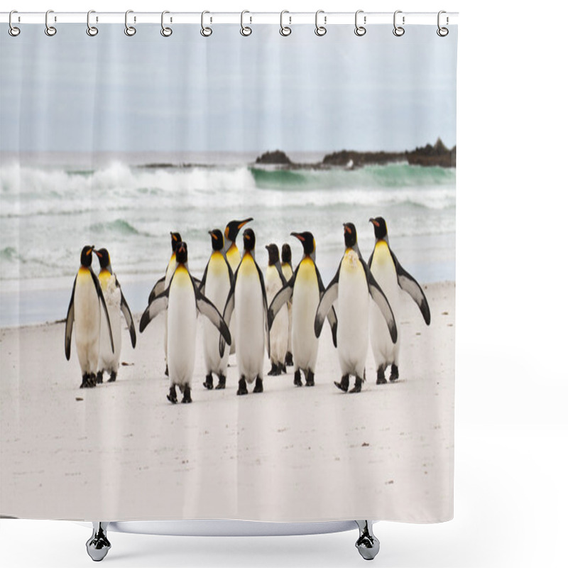 Personality  King Penguins Walking On The Beach Shower Curtains