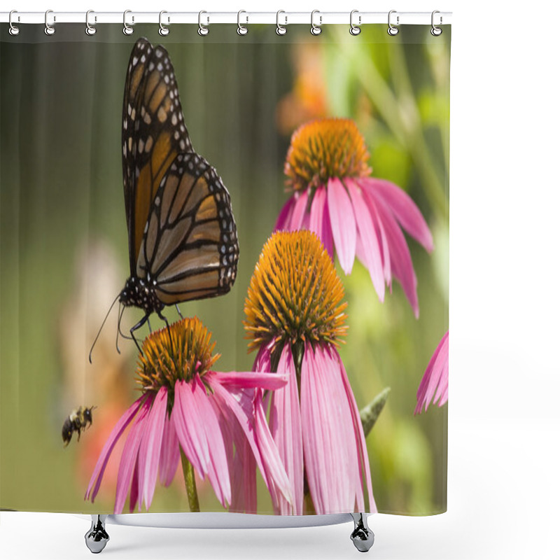 Personality  Monarch Butterfly And Bee Shower Curtains