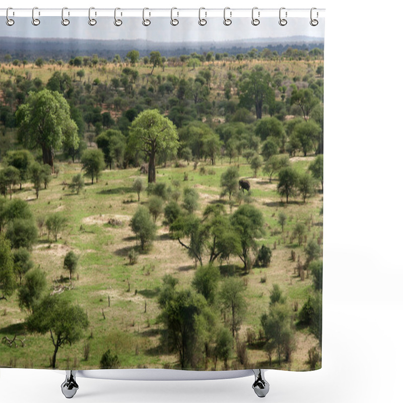 Personality  Landscap In Africa, Tanzania, Africa Shower Curtains