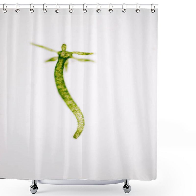 Personality  Hydra Is A Genus Of Small, Fresh-water Animals Of The Phylum Cnidaria And Class Hydrozoa Under The Microscope For Education. Shower Curtains