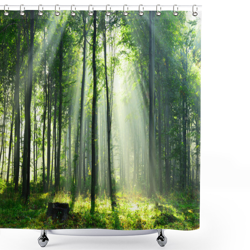 Personality  Beautiful Morning Sunrays In Forest Shower Curtains