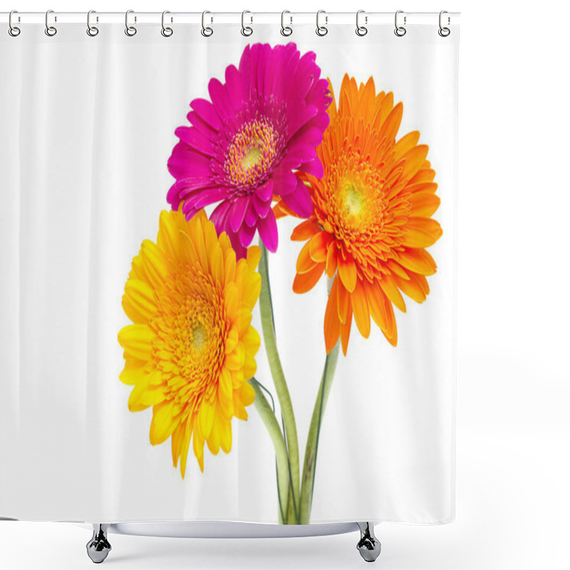 Personality  Gerber Daisy Isolated On White Background Shower Curtains