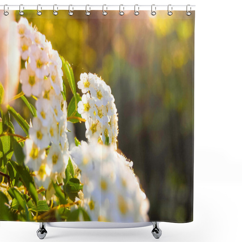 Personality  Many Little White Flowers Shower Curtains