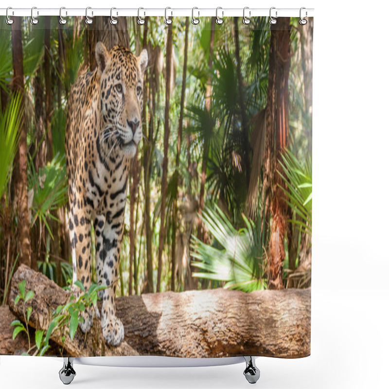 Personality  Walking Jaguar Shower Curtains