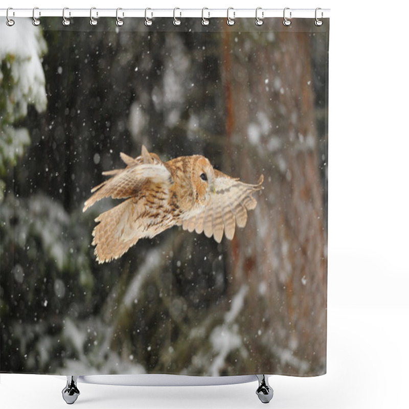 Personality  Flying Tawny Owl Shower Curtains