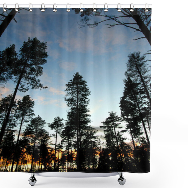 Personality  Tree Background Shower Curtains