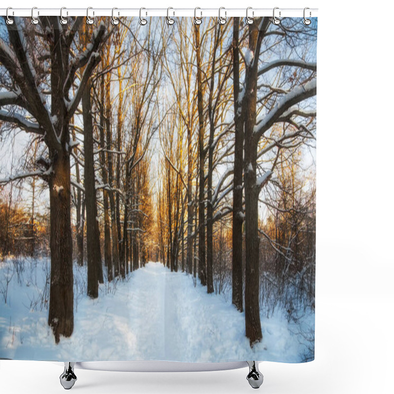 Personality  Beautiful Sunrise In A Winter Oak Forest Shower Curtains