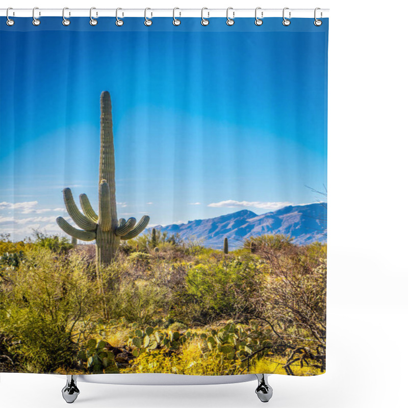 Personality  A Long Slender Saguaro Cactus In Saguaro National Park, Arizona Shower Curtains