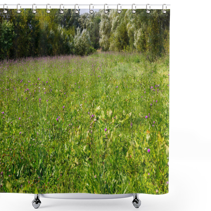 Personality  Meadow Of The Purple Wild Thistle Flowers Shower Curtains