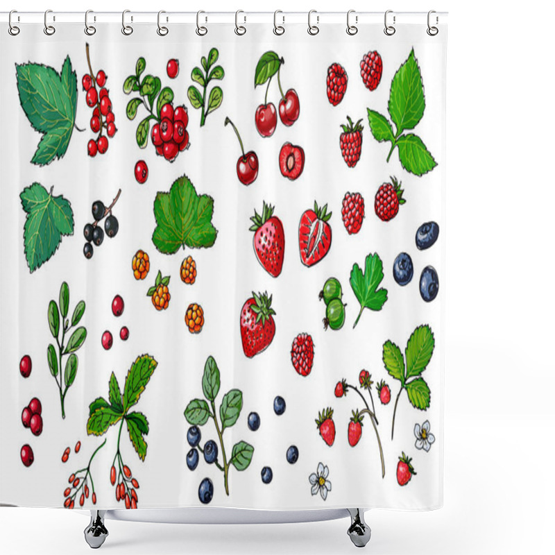 Personality  Berries And Leaves. Wild Berries Painted Line On A White Background. Cranberry, Cranberries, Currants, Raspberries, Strawberries, Blueberries Shower Curtains